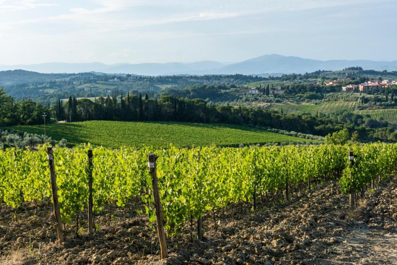 Tenuta Poggio Ai Mandorli Greve in Chianti Exteriér fotografie