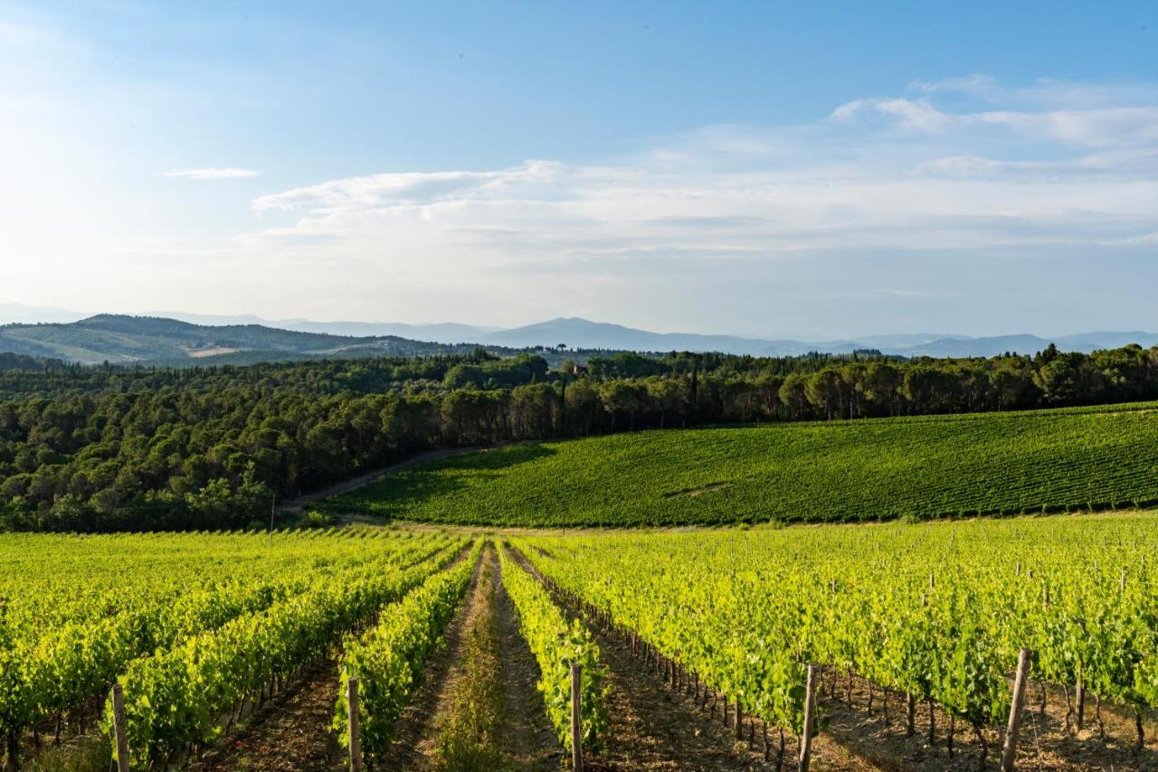Tenuta Poggio Ai Mandorli Greve in Chianti Exteriér fotografie