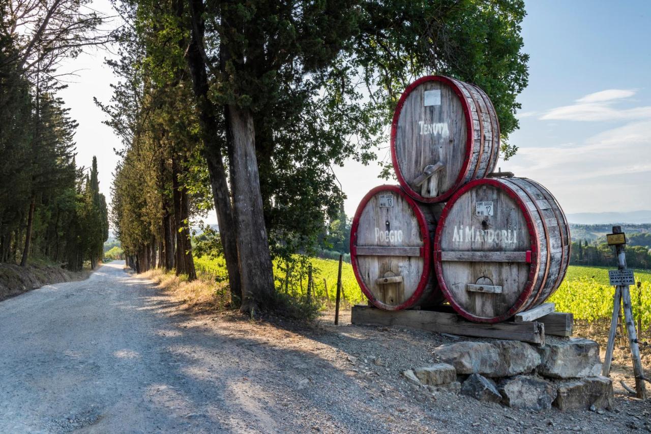 Tenuta Poggio Ai Mandorli Greve in Chianti Exteriér fotografie