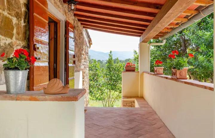 Tenuta Poggio Ai Mandorli Greve in Chianti Exteriér fotografie
